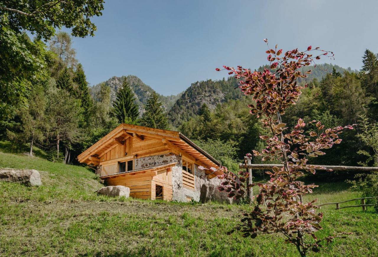 הוילה Sant'Orsola Odomi Maso Nel Bosco מראה חיצוני תמונה